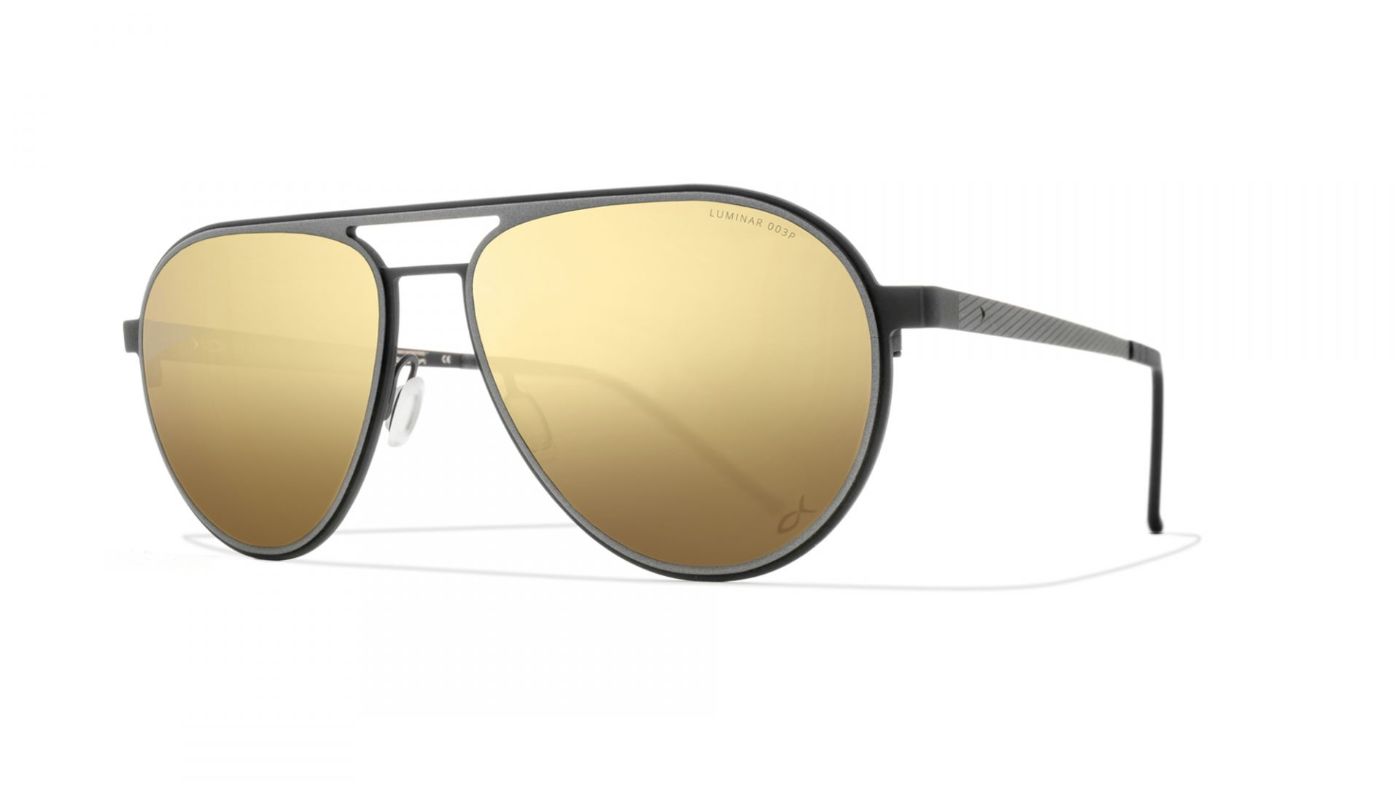 Neptune Beach LM C1055 BF867 Gray/Black (Polarized)
