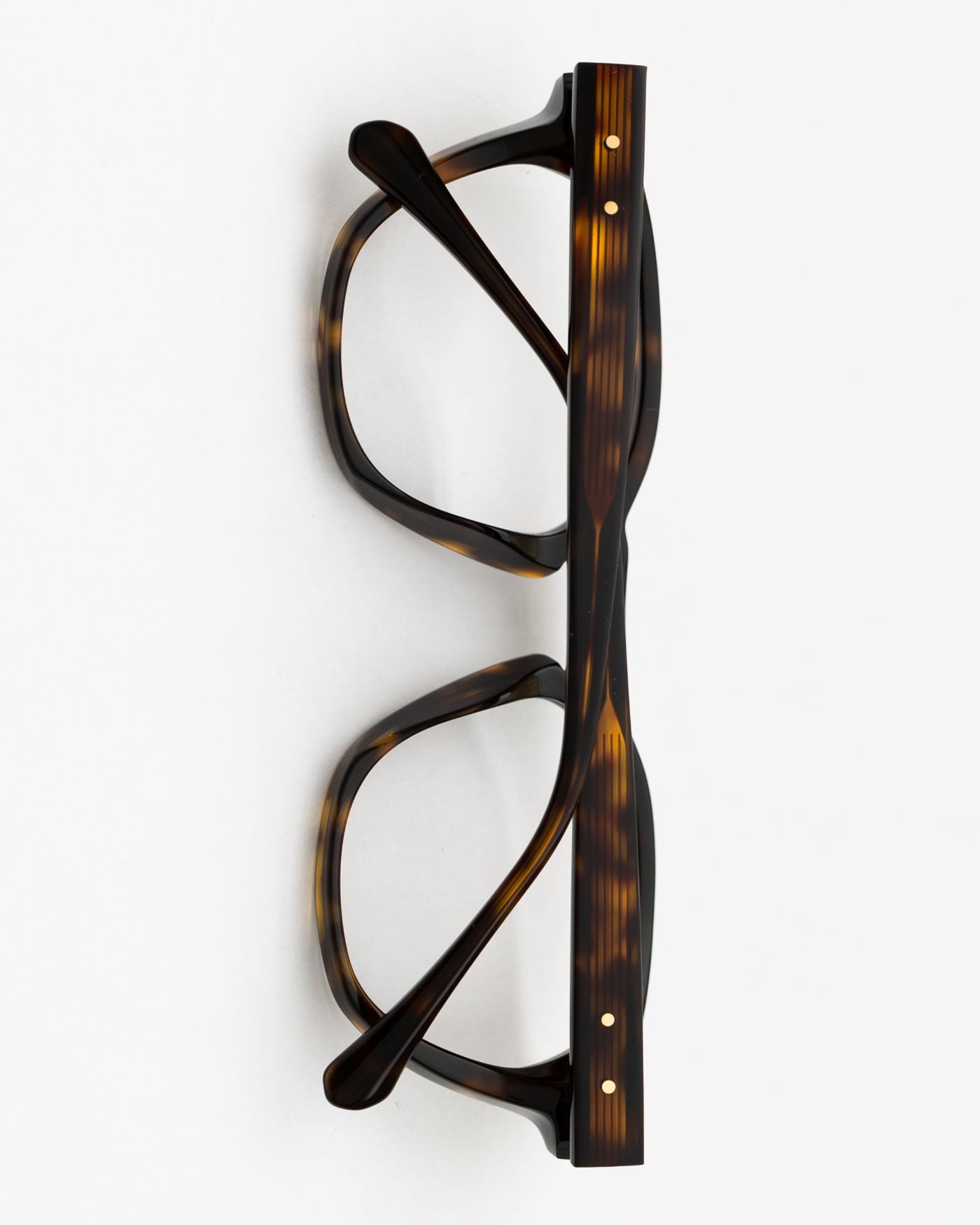 Frame 23 C22 Tiger