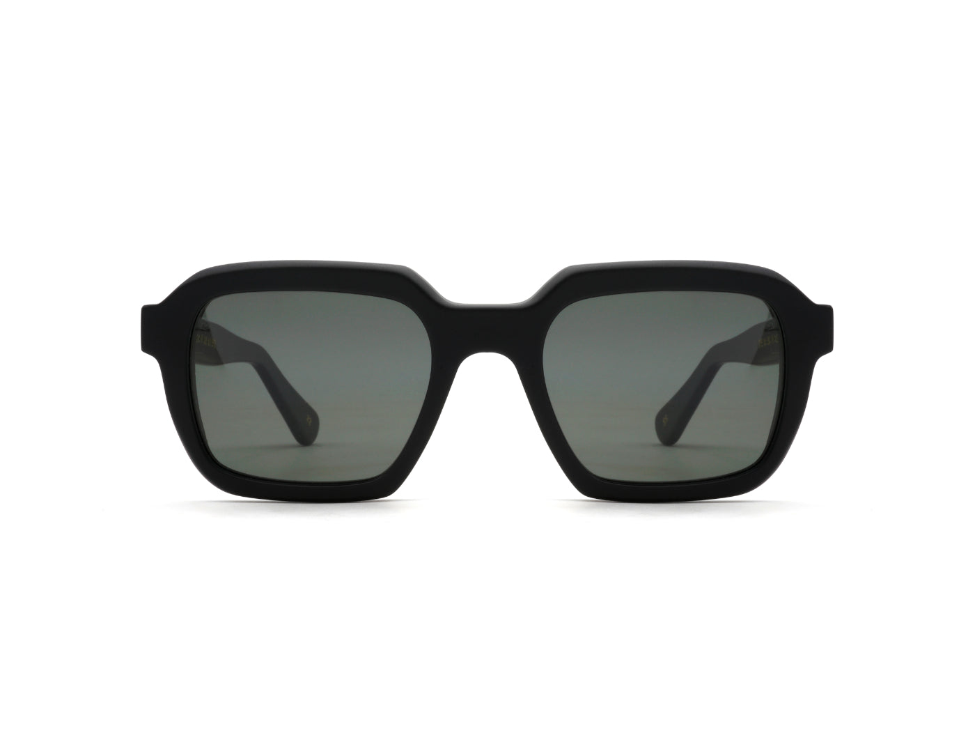 Raffaello Sun S53 C22 Black Matt (Grey Polarized (Base 2)) (5921)