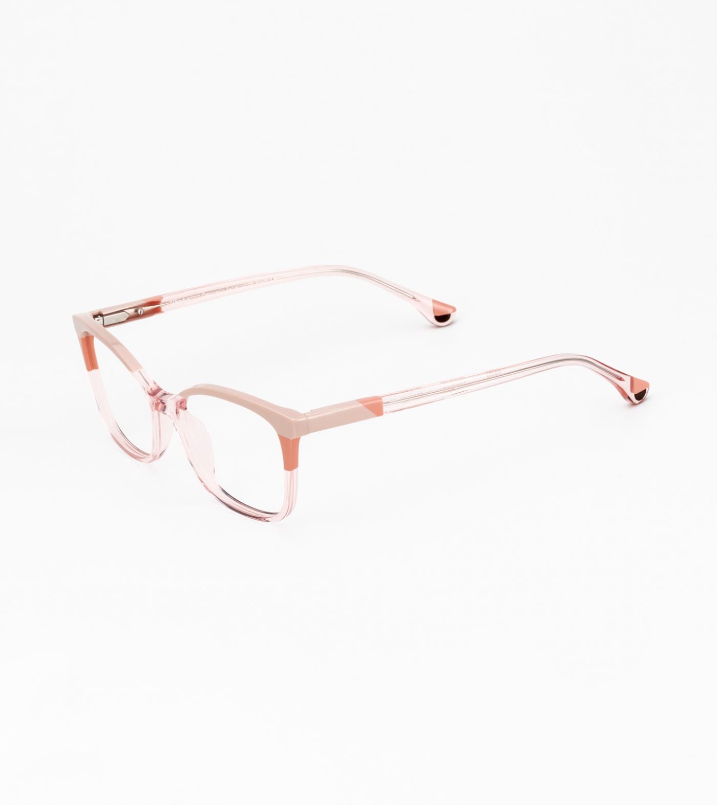 Begonia C05 Transparent Pink/Rose