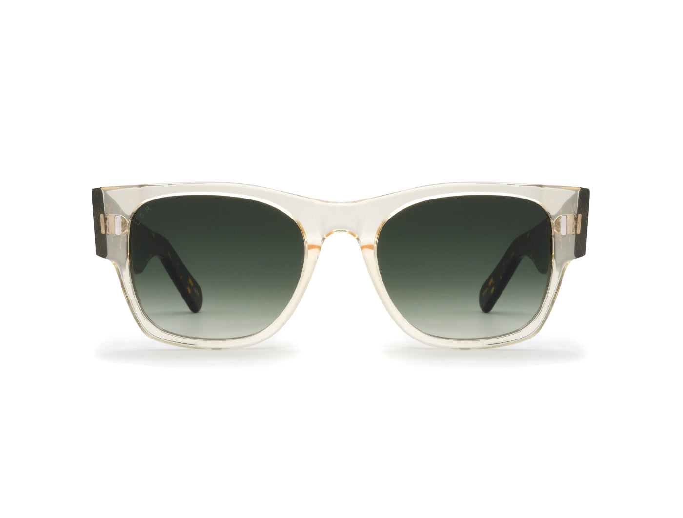 Jambo Bold Sun C49C Champagne/Havana Scuro (Green Vintage Photochromic (Base 2)) (5957)