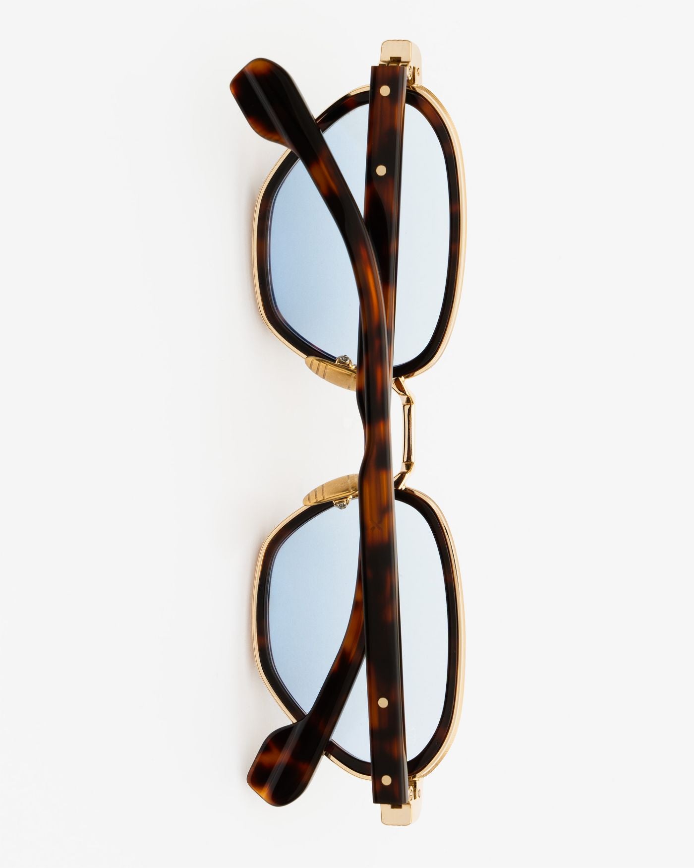 Sweet Dreams C24 Tiger Havana (Light Blue)