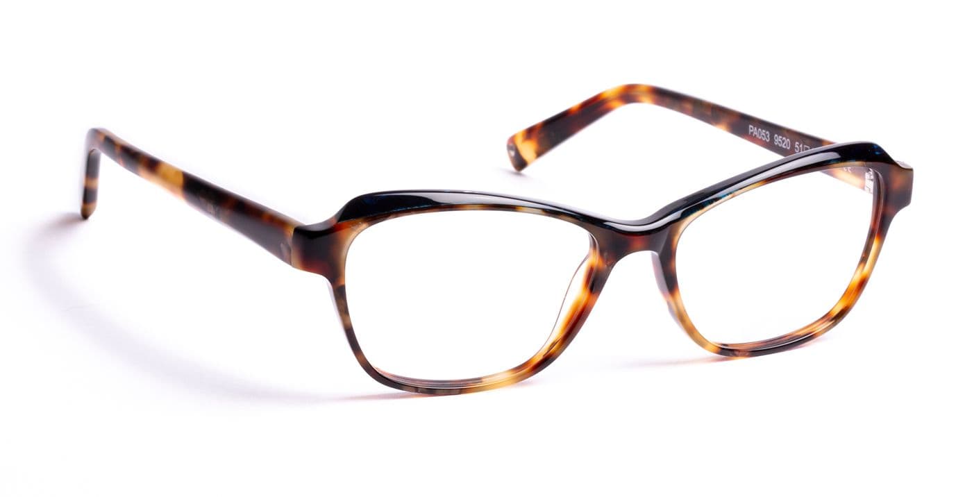 PA053 C9520 Tortoiseshell/Blue
