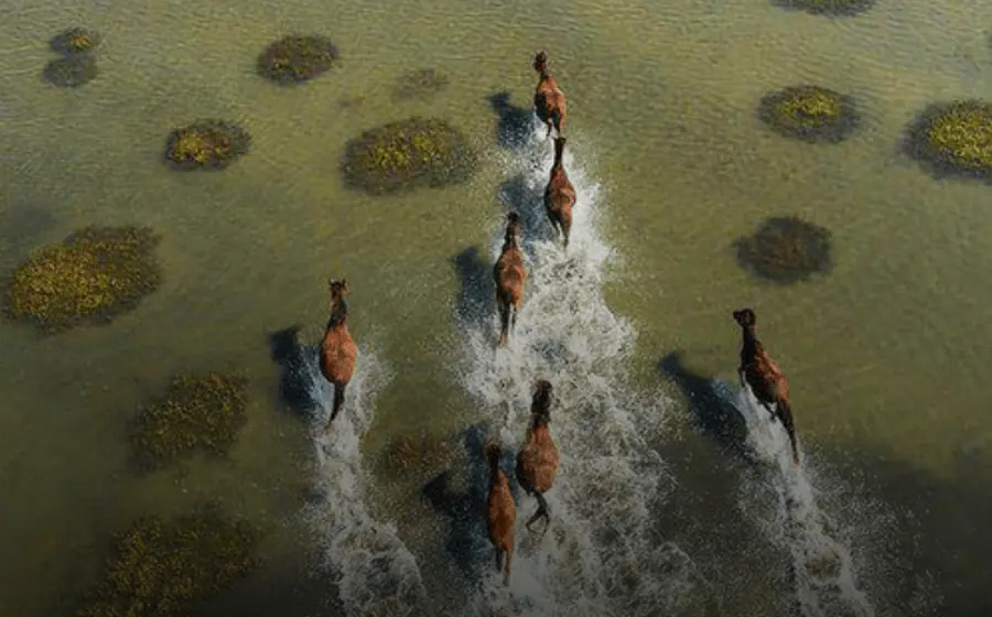 L.G.R Explore the Unknown campaign image with horses crossing shallow water