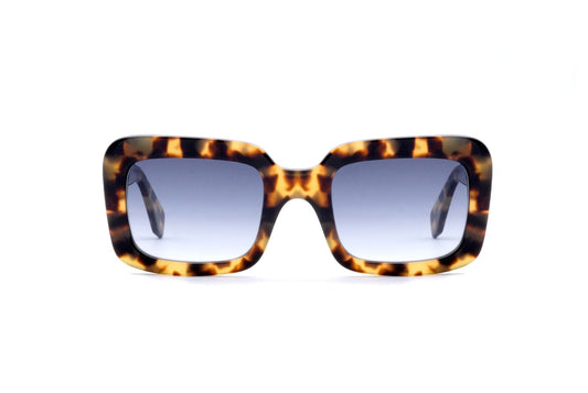 Palma Sun C23 Havana Tartarugato (Blue Gradient) (4228)