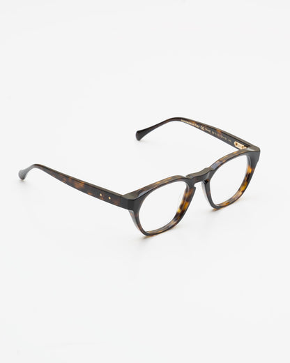 Frame 23 C22 Tiger