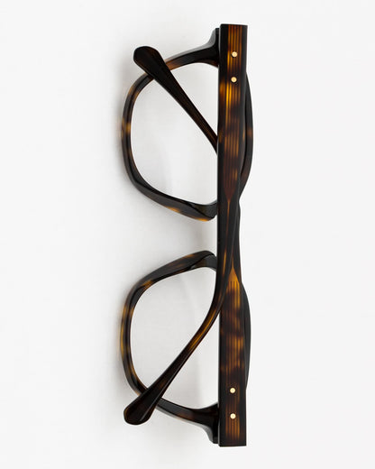 Frame 23 C22 Tiger