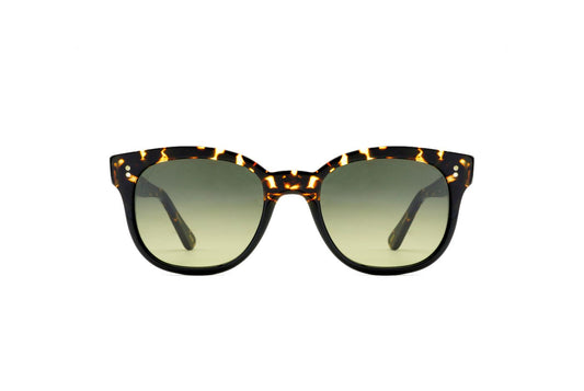 Maji Sun C09B Black/Havana Scuro (Green G15 Gradient (Base 2)) (5229)