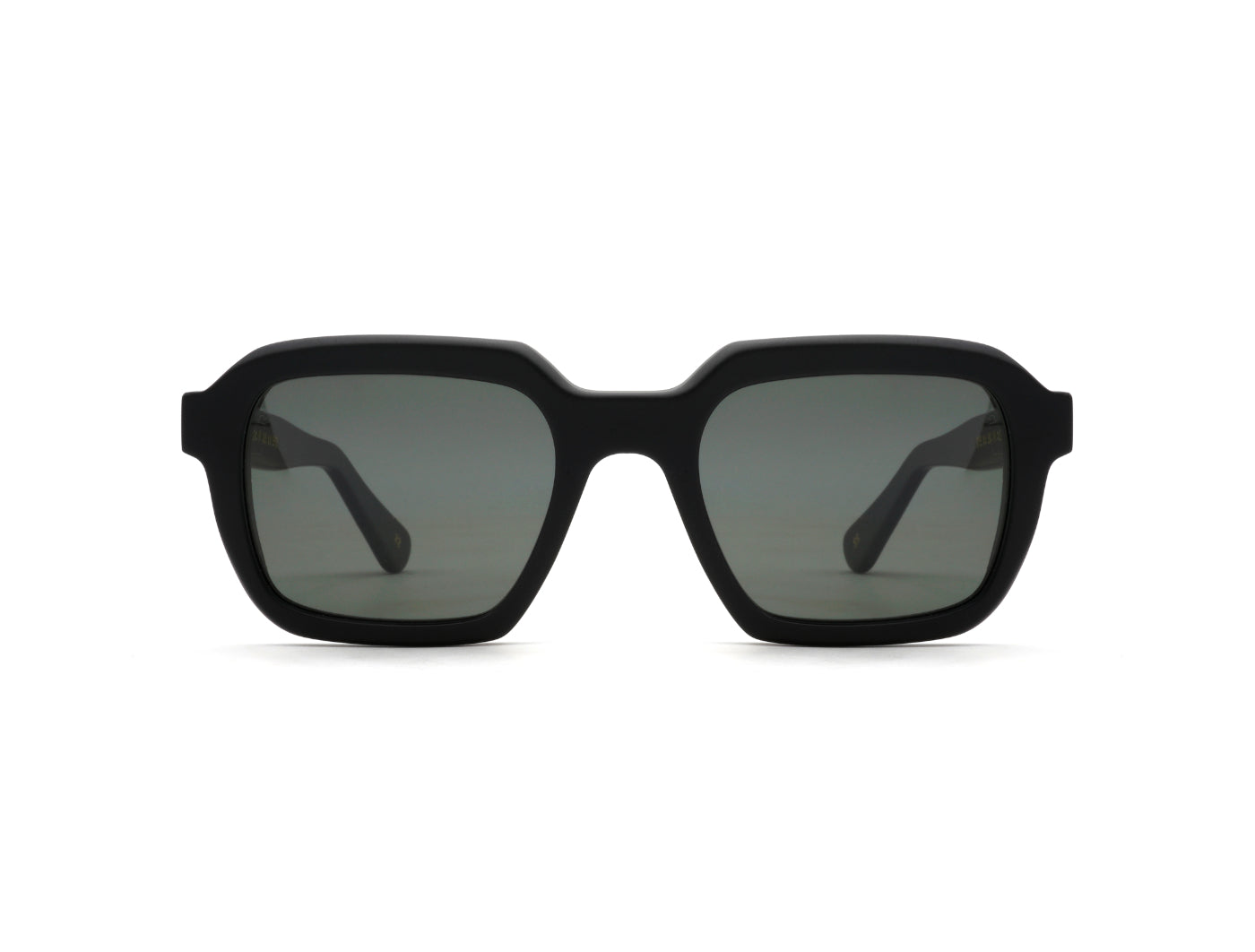 Raffaello Sun C22 Black Matt (Grey Polarized (Base 2)) (5921)