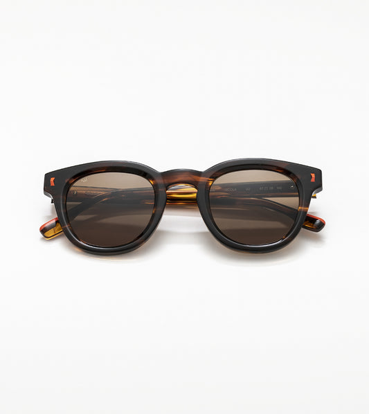 Nicola C02 Havana (Solid Brown)