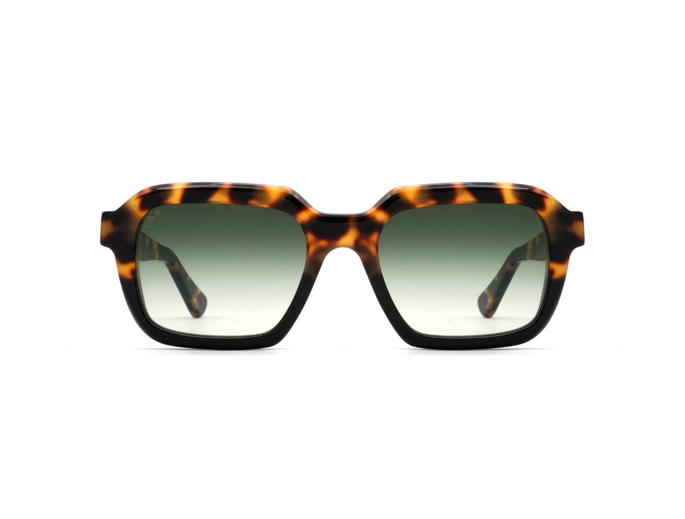 L.G.R X DVF | Raffaello Sun C6028 Havana Black (Green g15 Gradient Photochromic (Base 2)) (6028)