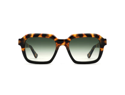 L.G.R X DVF | Raffaello Sun C6028 Havana Black (Green g15 Gradient Photochromic (Base 2)) (6028)