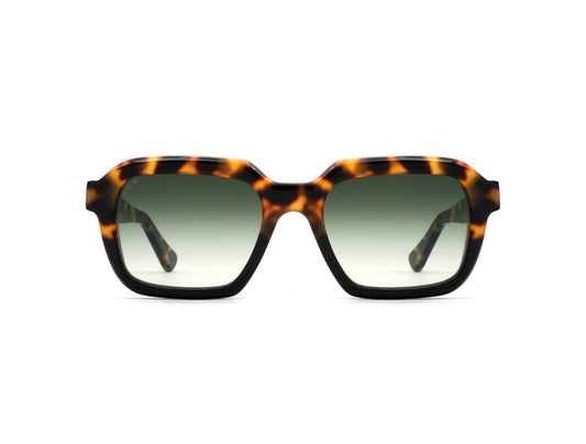 L.G.R X DVF | Raffaello Sun C6028 Havana Black (Green g15 Gradient Photochromic (Base 2)) (6028)