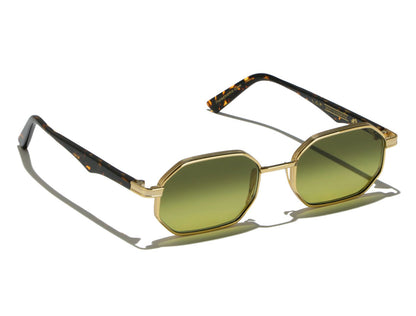 Axum S50 C09 Gold/Havana Scuro (Green Vintage Gradient Photochromic (Base 2)) (6463)
