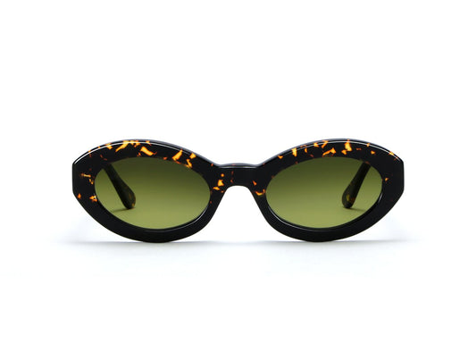 Dawa C09B Black/Havana Scuro (Green Vintage Gradient Photochromic (Base 2)) (6441)