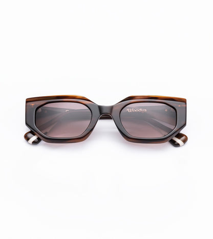 Jasper C02 Havana (Gradient Brown)