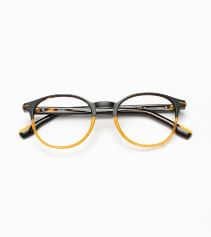 Guin C04 Havane/Yellow