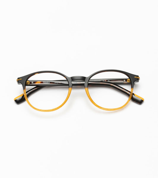 Guin C04 Havane/Yellow