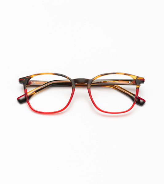 August C04 Havane/Red