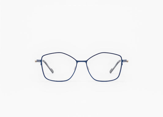 Gavia C02 Dark Blue Light Gold