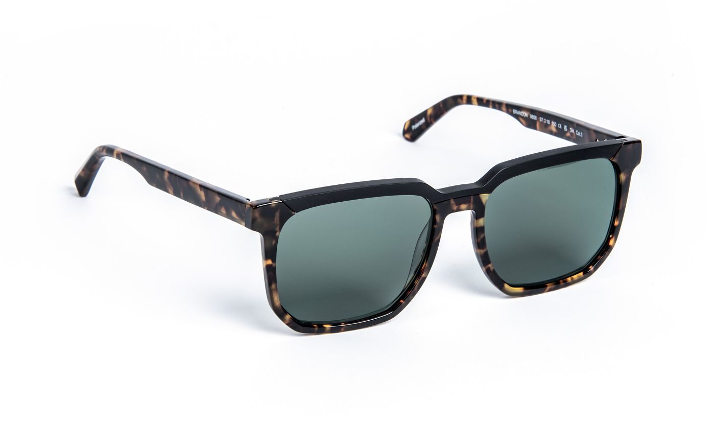 Brandon C9808 Aluminium Black/Tortoiseshell/G Ar