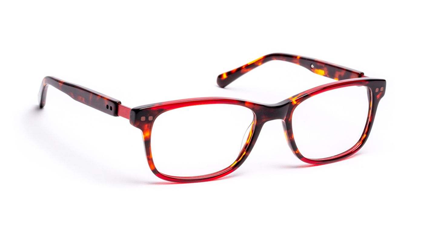 PARK C3595 Tortoiseshell Burgundy/G