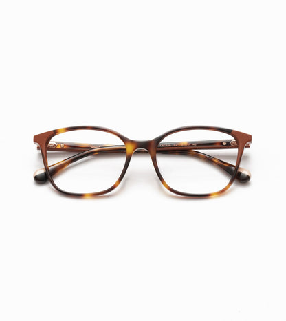 Cecilia C02 Havana/Orange