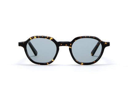 LGR Algiers Sun C09 Havana Scuro (Light Blue Photochromic (Base 2)) (7032)