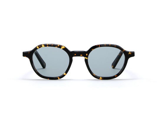 LGR Algiers Sun C09 Havana Scuro (Light Blue Photochromic (Base 2)) (7032)