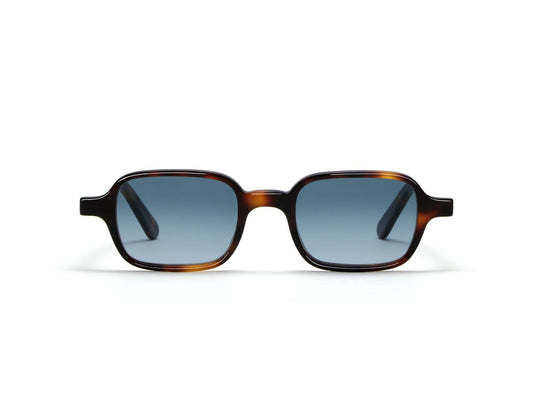 L.G.R X Ermanno Scervino | Marrakech Sun S46 C39 Havana Maculato (Blue Gradient PH (Base 2)) (6789)